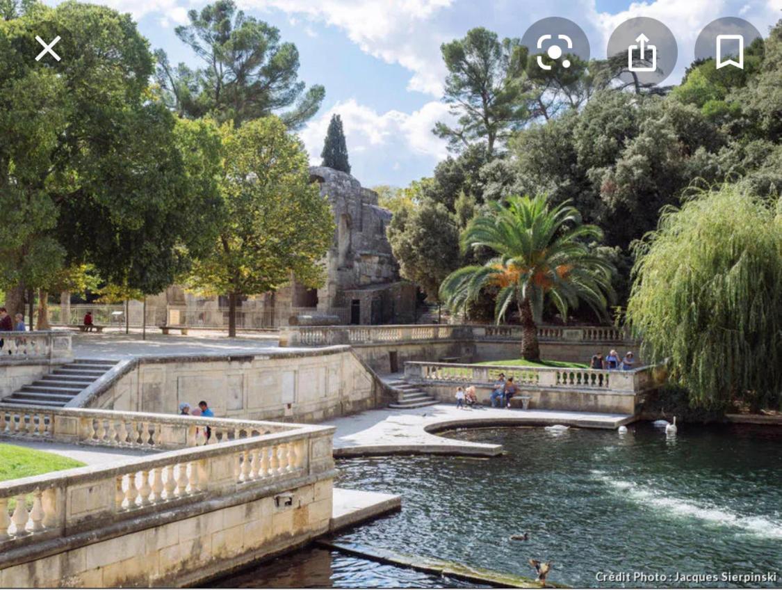 Gite Les Oliviers 10 Pers Piscine Au Calme 4 Etoiles Saint-Laurent-la-Vernede Exterior photo